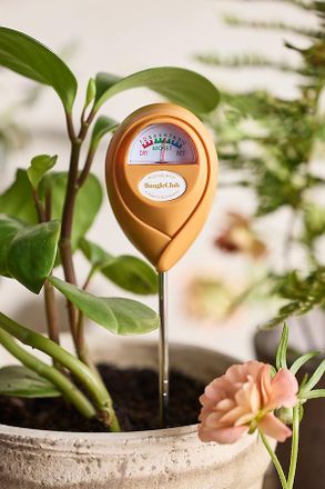 Terrain Plant Moisture Meter