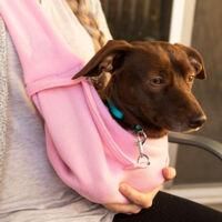 OEM Bolsa Transportadora Para Mascotas, Bolsa De Viaje Para Gatos Y Perros, Hasta 7 Kg (rosa) - Crezuo