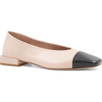 Bruno Magli Patria Square Toe Flat in Sand/Black at Nordstrom Rack, Size 9