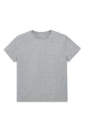 primary Adult Easy Crewneck Tee in Heather Gray at Nordstrom, Size Xx-Large
