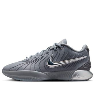 Nike Lebron 21 EP Cool Grey HF5353-001