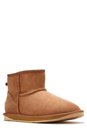 Australia Luxe Cosy Genuine Shearling Extra Short Bootie in Chestnut at Nordstrom Rack, Size 13