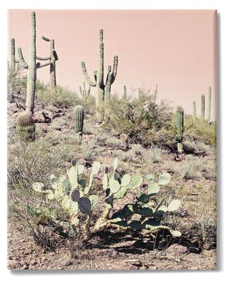 Stupell Industries Summer Dessert Landscape Cactus Prickly Pear Pink Sky Stretched Canvas Wall Art By Susan Bryant
