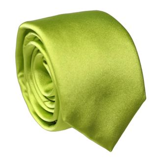 Dolce & Gabbana Ties, male, Green, Size: ONE SIZE Necktie