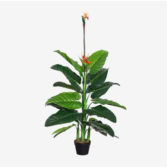 Sklum Sklum - Planta Artificial Decorativa Ave Del Para&iacute;so 150 Cm