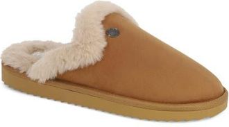 Mia Fudge Faux-Fur Lined Mule in Tan at Nordstrom, Size 10