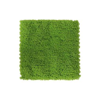 OEM 2 X C Siepe Artificiale Pannello 100x100cm Green