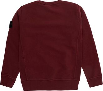 Stone Island Boys Hoodie Red Hoods & Sweatshirts
