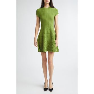 Jason Wu Gradient Cable Fit & Flare Sweater Dress in Peashoot at Nordstrom, Size X-Small