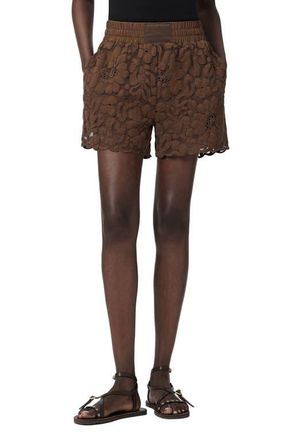 AllSaints Amelie Lace Shorts in Bitter Brown at Nordstrom, Size X-Small Regular