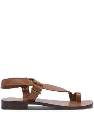 SOEUR Sandali Delhi con fibbia - Marrone