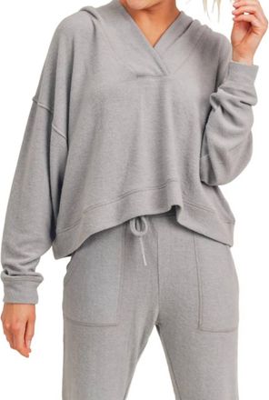 Mono B Wash Long-Sleeve V-Neck Hoodie In Grey