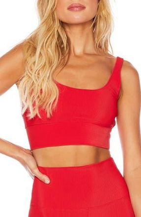 Beach Riot Leah Crop Sports Bra in Red at Nordstrom Rack, Size X-Small