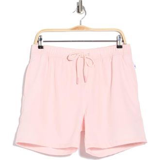 Vintage Summer Swimwear Performance Volley Swim Shorts in Pink at Nordstrom Rack, Size Xx-Large
