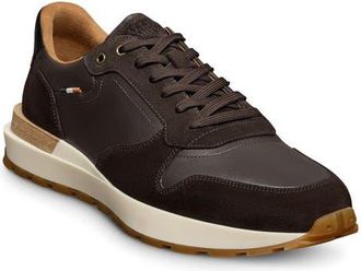 Allen Edmonds Lionel Low Top Sneaker in Dark Brown at Nordstrom, Size 11.5