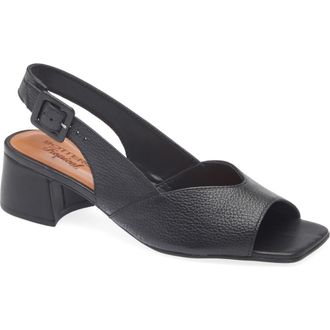 Bottero Catia Slingback Sandal in Preto at Nordstrom, Size 10