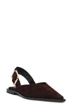 Steve Madden Shay Pointed Toe Slingback Flat in Brown Sued at Nordstrom Rack, Size 6