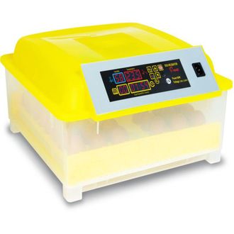 IDMarket Incubatrice automatica per 48 uova covatrice macchina per cova artificiale incubazione uova