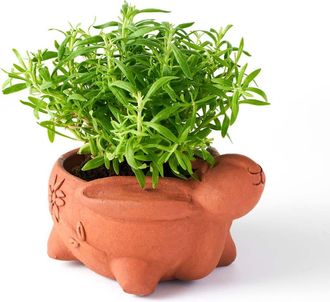 Matr Boomie Rakshana Plant Pot in Rabbit at Nordstrom