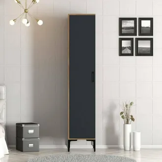 Dmora Armadio Multiuso 1 Anta Mekbuda, Mobile Multifunzionale, Mobiletto Scarpiera, Guardaroba Porta Scarpe, 40x201h48 Cm, Noce E Antracite, Con Imballo Rin