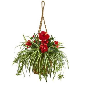 Nearly Natural Hibiscus & Spider Artificial Plant in Hanging Basket in Red at Nordstrom