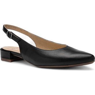 Ara Pixie Slingback Pump in Black at Nordstrom, Size 10.5