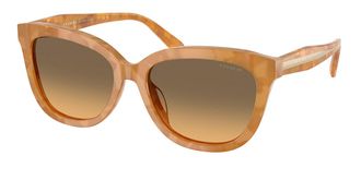 Coach HC8453U CDP53 593911 Womens Sunglasses Tortoiseshell Size 56