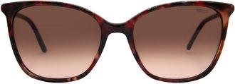 Mexx 6605 200 Womens Sunglasses Tortoiseshell Size 54