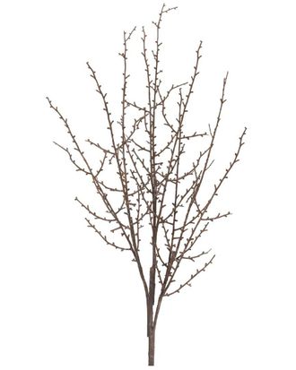 Melrose International Set Of 6 Birch Twig Branch
