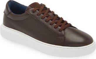 G. Brown Puff Low Top Leather Sneaker at Nordstrom Rack, Size 11