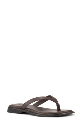 Vagabond Izzy Strappy Sandal in Chocolate at Nordstrom, Size 10Us