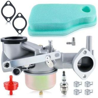 OEM Carburador Compatible Con Briggs & Stratton 491590, 390811, 392152 - Series 190702 A 193700, Con Junta Y Kit De Limpieza