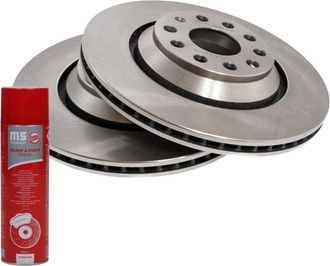 OEM Discos De Freno Traseros 24012202191-pcs-ms 2 Piezas