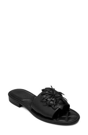 Aerosoles Begonia Sandal in Black at Nordstrom Rack, Size 5.5
