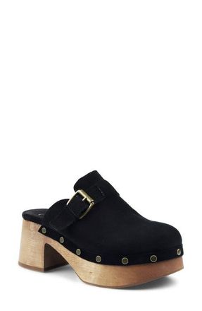 Candie's Booyah Platform Clog in Black Suede at Nordstrom, Size 11