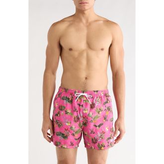 BOSS Piranha Swim Trunks in Medium Pink at Nordstrom Rack, Size Xx-Large
