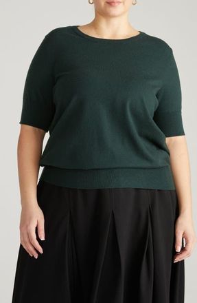 Universal Standard Rosie Short Sleeve Sweater in Scarab Green at Nordstrom, Size 3Xl