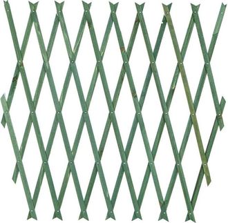 Trade Shop Trade Shop - Traliccio Rete Estensibile In Legno Verde Per Parete Da Giardino Piante 100x200