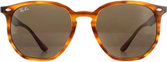 Ray-Ban Zonnebril RB4306 820/73 Gestreepte Rode Havana Donker Bruin