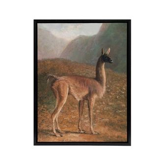 Artery8 Guanaco Llama in Mountain Landscape Agasse Black Framed Canvas Art | Size: W24 x H32