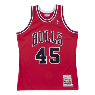 Mitchell & Ness NBA Michael Jordan Chicago Bulls 1994/95 Jersey 45 AJY4LG19008-CBUSCAR94MJO