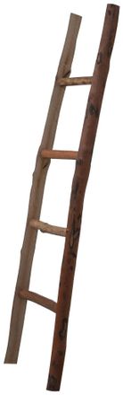 Biscottini International Biscottini - Toallero Escalera De Madera Ba&ntilde;o Moderno Suelo De Pared A Pared Escalera Decorativa Toallero Portaobjetos Librer&iacute;a