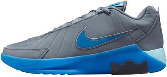 Nike Le Bron Witness 9 - Heren - Fitnessschoenen - Grijs - 44 1/2 EU - Leer - Fitness