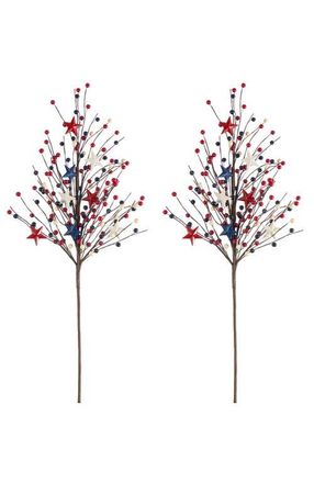Glitzhome Set of 2 28H Patriotic Americana Stars & Berry Picks in Blue at Nordstrom, Size Medium