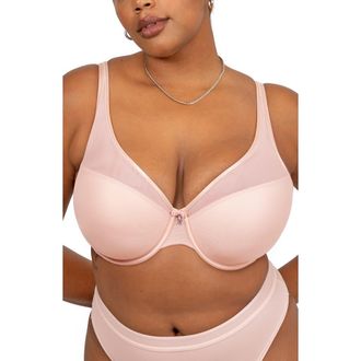 Curvy Couture Sheer Mesh Plunge T-Shirt Bra in Blushing Rose at Nordstrom, Size 38Ddd