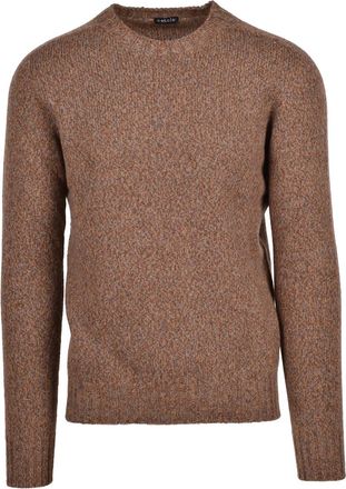 Retois Textured Knit Crewneck Sweater in Earthy Brown