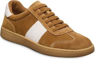 Allen Edmonds Ludlow Slip-On Sneaker in Fawn at Nordstrom, Size 10.5