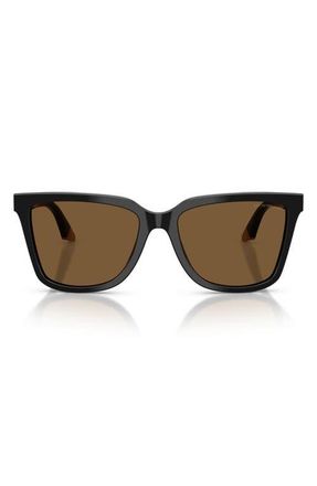 Emporio Armani 55mm Irregular Sunglasses in Shiny Black/beige/brown at Nordstrom