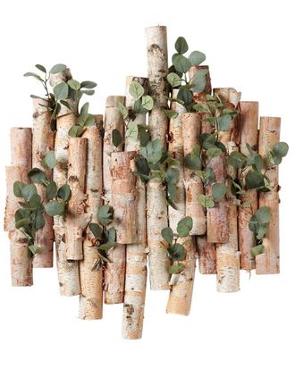 D&W Silks Wall Hanging Birch With Silver Dollar Branches