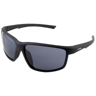 Alpina Defey Cat. 3 Velobrille - Unisex | grau